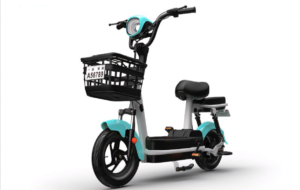 Free Shipping | QingBianShi