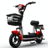 Free Shipping | QingBianShi