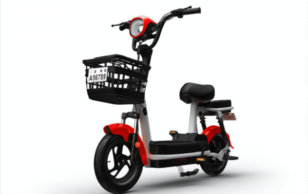 Free Shipping | QingBianShi