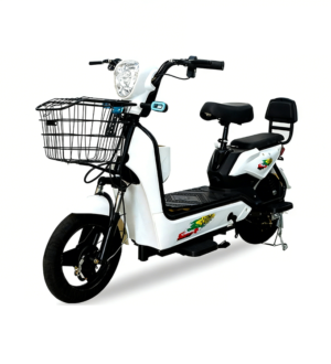 2e71be47-0daa-4f25-a6e9-3c41cf4d2468 Free Shipping | AT0011