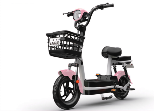 Free Shipping | QingBianShi