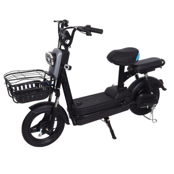 Free Shipping | XiaoJinGang