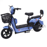 Free Shipping | JinYing