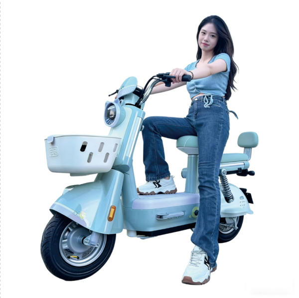 Free Shipping | AT0054
