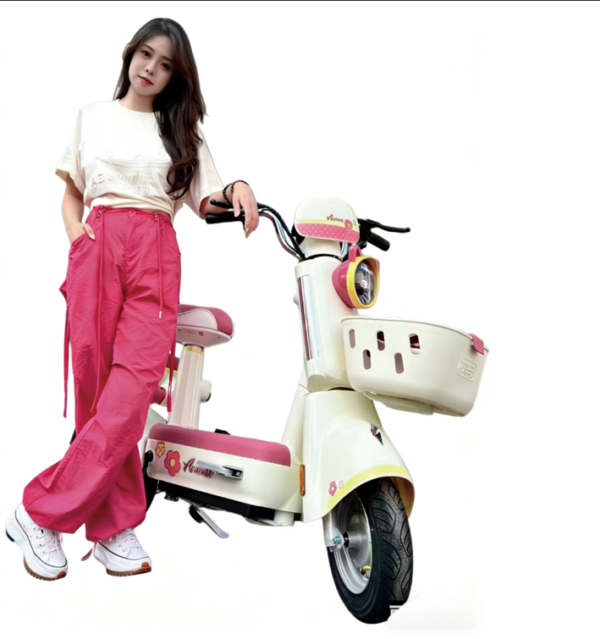 Free Shipping | AT0054